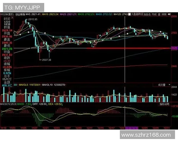 广州排球队与杭州排球队赛后复盘分析比赛节奏与战术表现